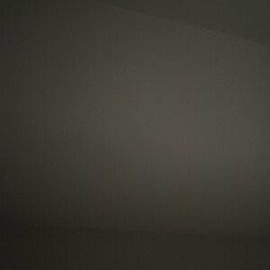 Meet your Posher, Lonnie